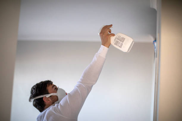 Best Mold Removal Company Near Me  in Monmouth, OR