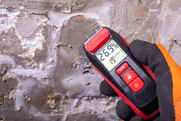 Best Mold Damage Repair  in Monmouth, OR