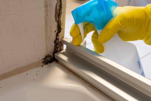 Monmouth, OR Mold Removal Company