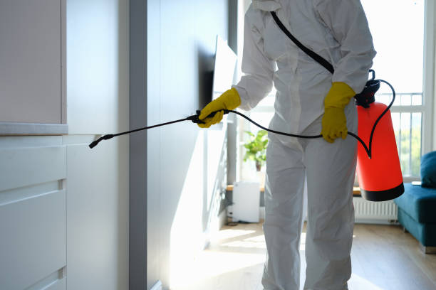 Mold Removal and Inspection in Monmouth, OR