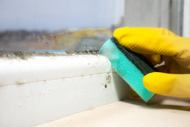 Best Emergency Mold Removal  in Monmouth, OR