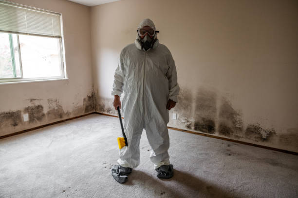 Best Mold Cleaning Services  in Monmouth, OR